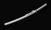 Katana Carbon 1060 WhiteCut glbl-1 - kick-ass.eu