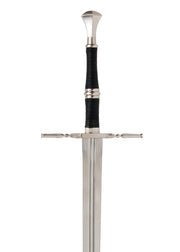 The Witcher : Steel Sword