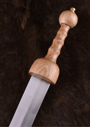 Rimski Pompeji Gladius s koricama, 1.st.