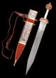 Gladius tipa Mainz s koricama